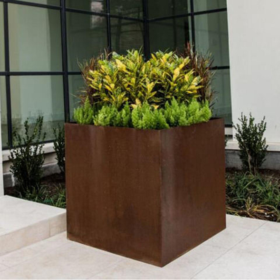 SGS TUV Corten Steel Cube Planter Laser Cut Rusty Steel Planters chống mài mòn