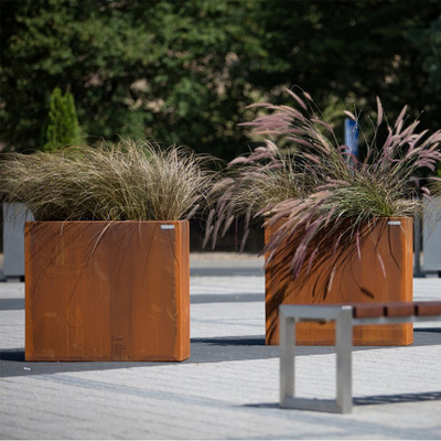 Dòng kim loại Máy trồng cây thời tiết Hộp trồng cây bằng thép Corten Nồi trồng cây bằng thép