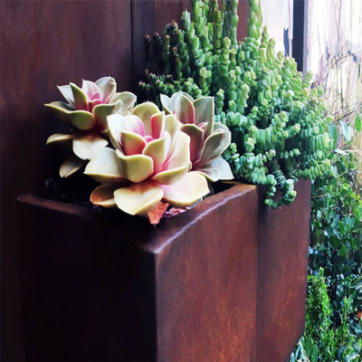 Vườn Corten thép kéo dài Hộp trồng cây lớn Thép chịu thời tiết gỉ cho nhà trang trại
