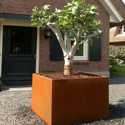 Vườn Corten thép kéo dài Hộp trồng cây lớn Thép chịu thời tiết gỉ cho nhà trang trại