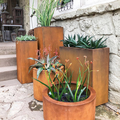 Dịch vụ OEM ODM Máy trồng cây cao bằng thép Corten lớn phổ biến chống mài mòn