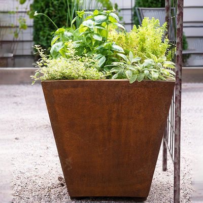 OEM ODM Hộp trồng cây bằng kim loại hình chữ nhật nâng lên Thép Corten