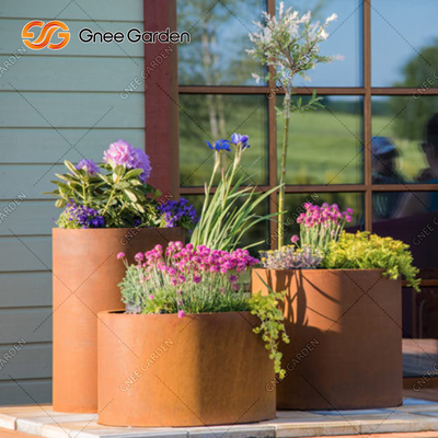 Gnee Garden Hộp trồng cây thép tùy chỉnh hình chữ nhật với chứng nhận SGS