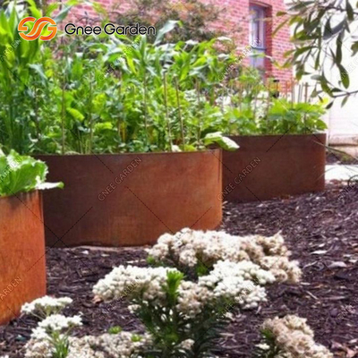 OEM ODM Patio Ban công ngoài trời Kim loại ngoài trời Giường vườn cho rau chống gỉ