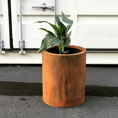 Hoa Rusty Kết thúc Vòng trồng cây thép Corten cho Vườn