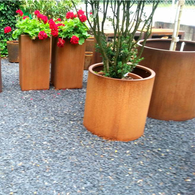 Hoa Rusty Kết thúc Vòng trồng cây thép Corten cho Vườn