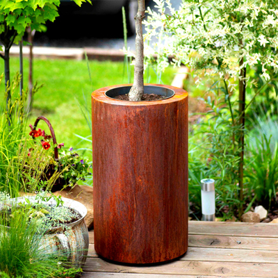 Hoa Rusty Kết thúc Vòng trồng cây thép Corten cho Vườn