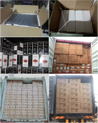 Hộ gia đình ngoài trời Di động Sân sau Công viên Cắm trại Nấu ăn Lò nướng Bbq bằng gas bằng thép không gỉ